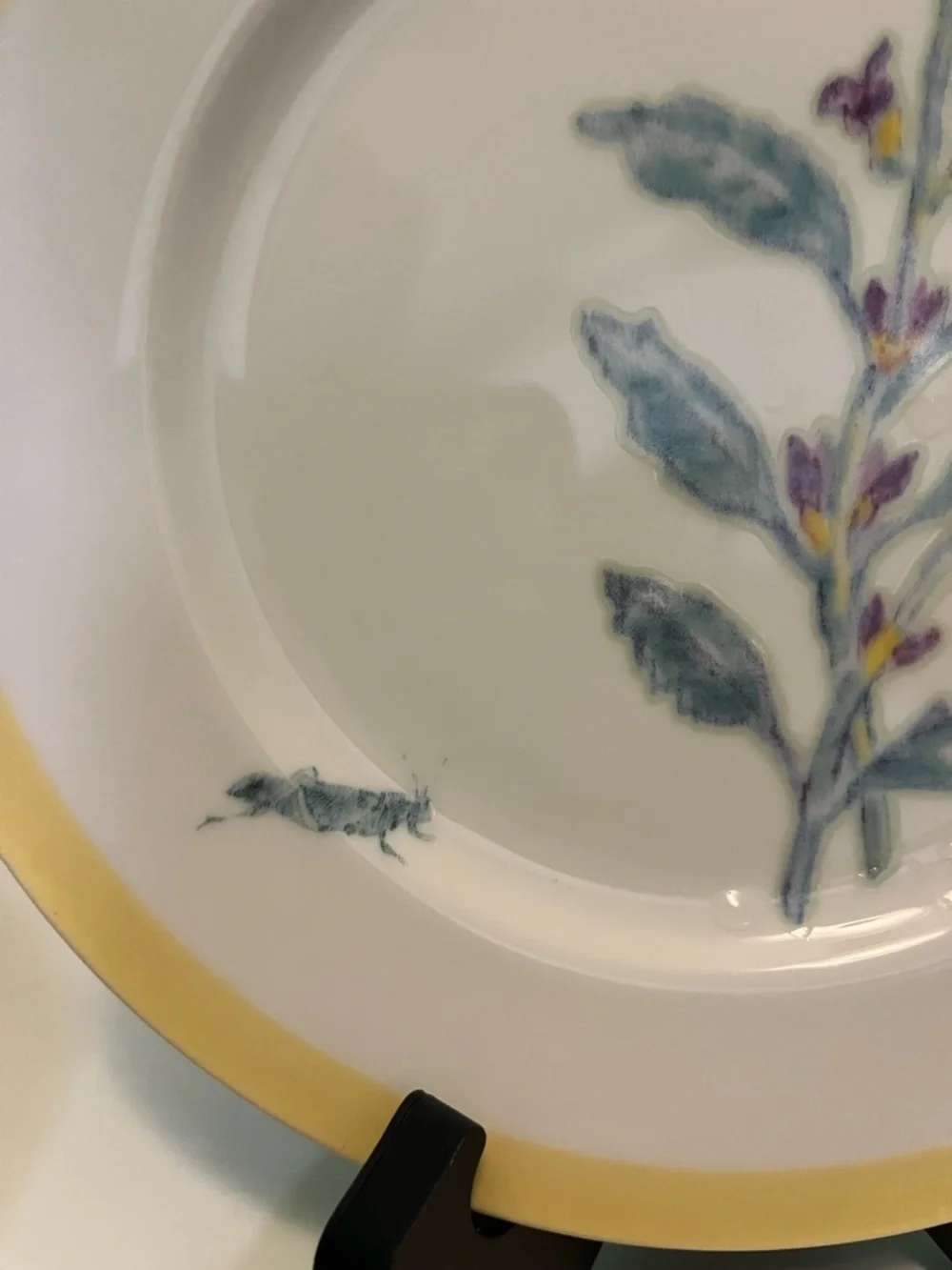 Williams Sonoma Yellow-Rim Flowering Herb Salad Plate 8 14/“